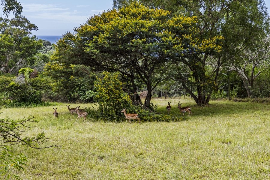 0 Bedroom Property for Sale in Cintsa West Eastern Cape